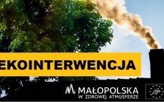 Ekointerwencja